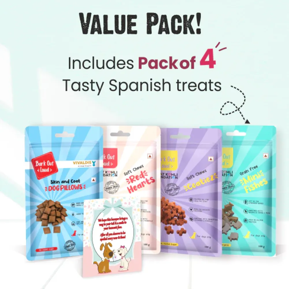 Bark Out Loud by Vivaldis Prefect Gifting Spanish Treat Box for Dogs