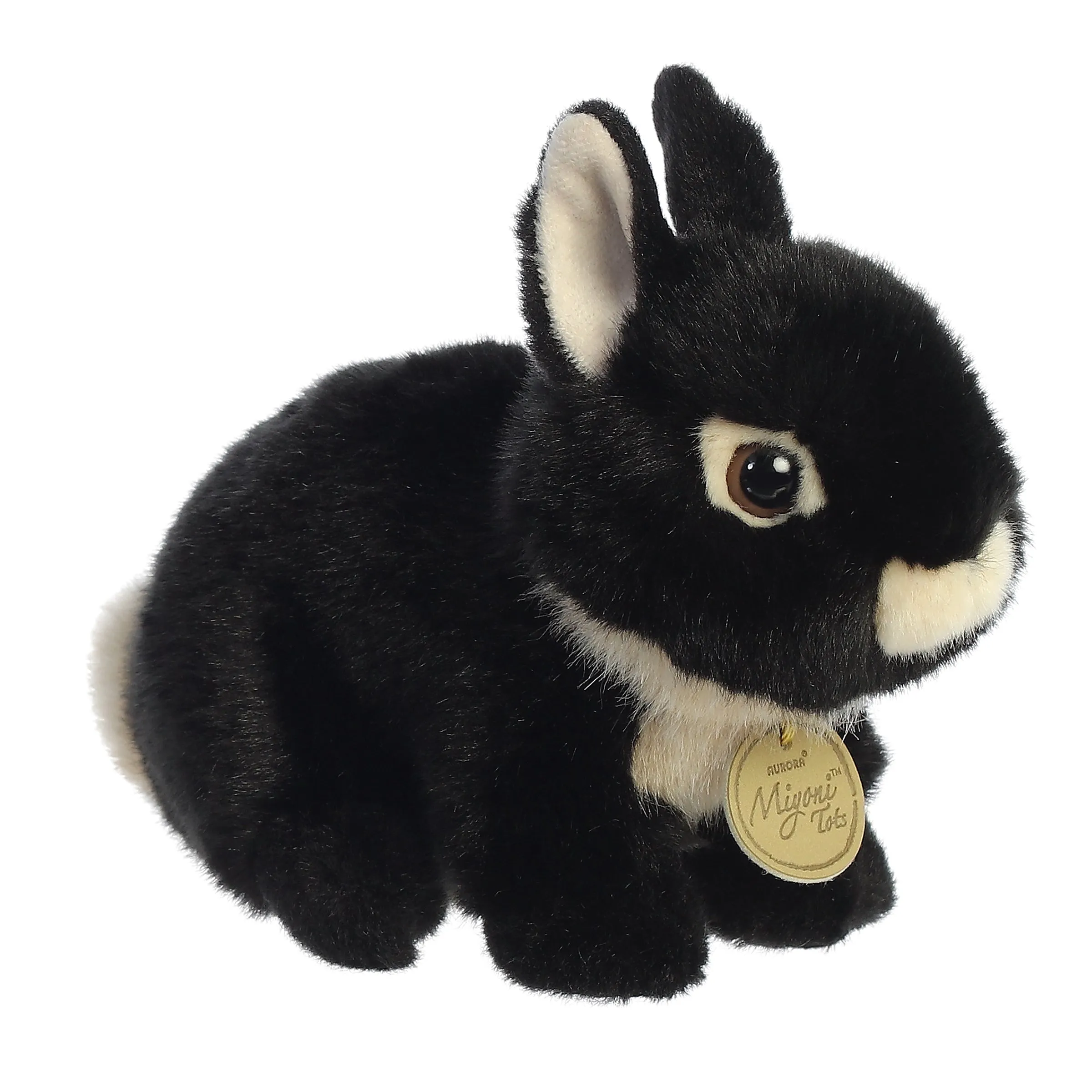 Black Netherlands Dwarf Bunny