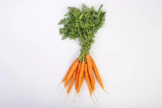 Bunched Carrots