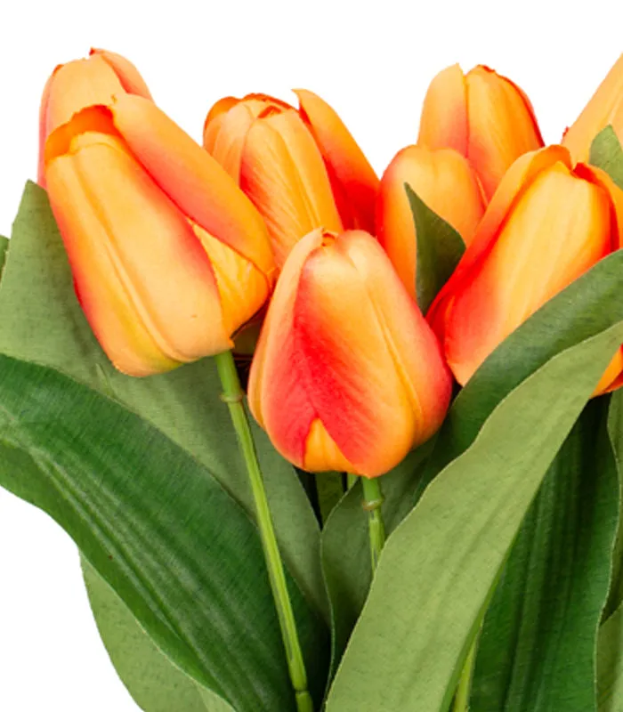 Tulip Bunch -Orange- Set of 2